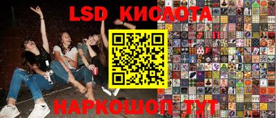 шишки Партизанск