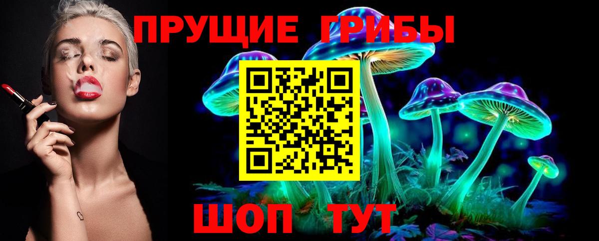 Галлюциногенные грибы Psilocybine cubensis Саров