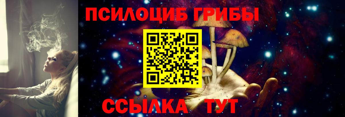 Саров  купить наркотик  Вход с VPN  Галлюциногенные грибы мицелий 